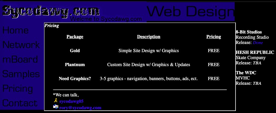 Website Design Agency project